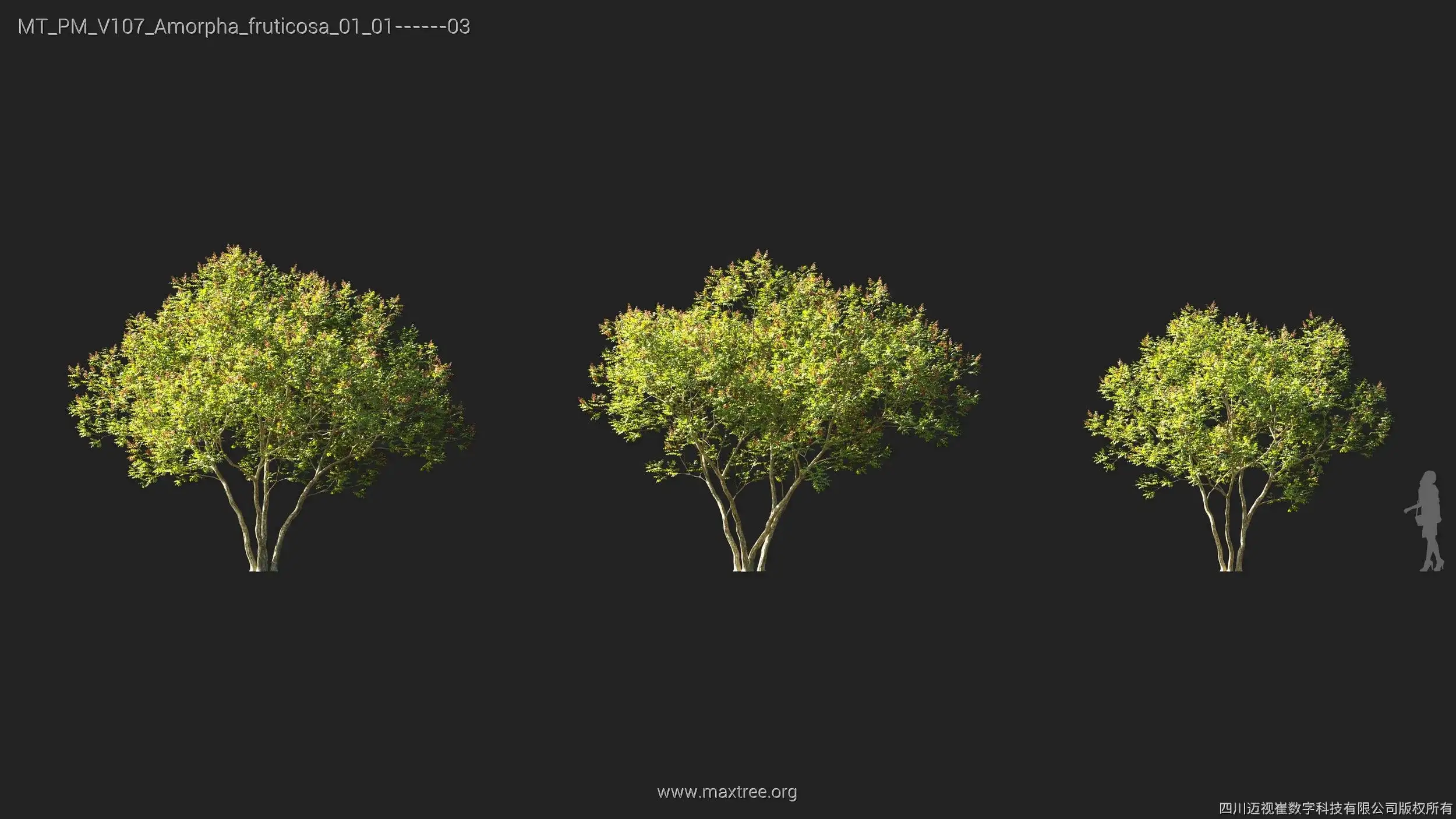 دانلود 72 مدل سه بعدی درخت - 2