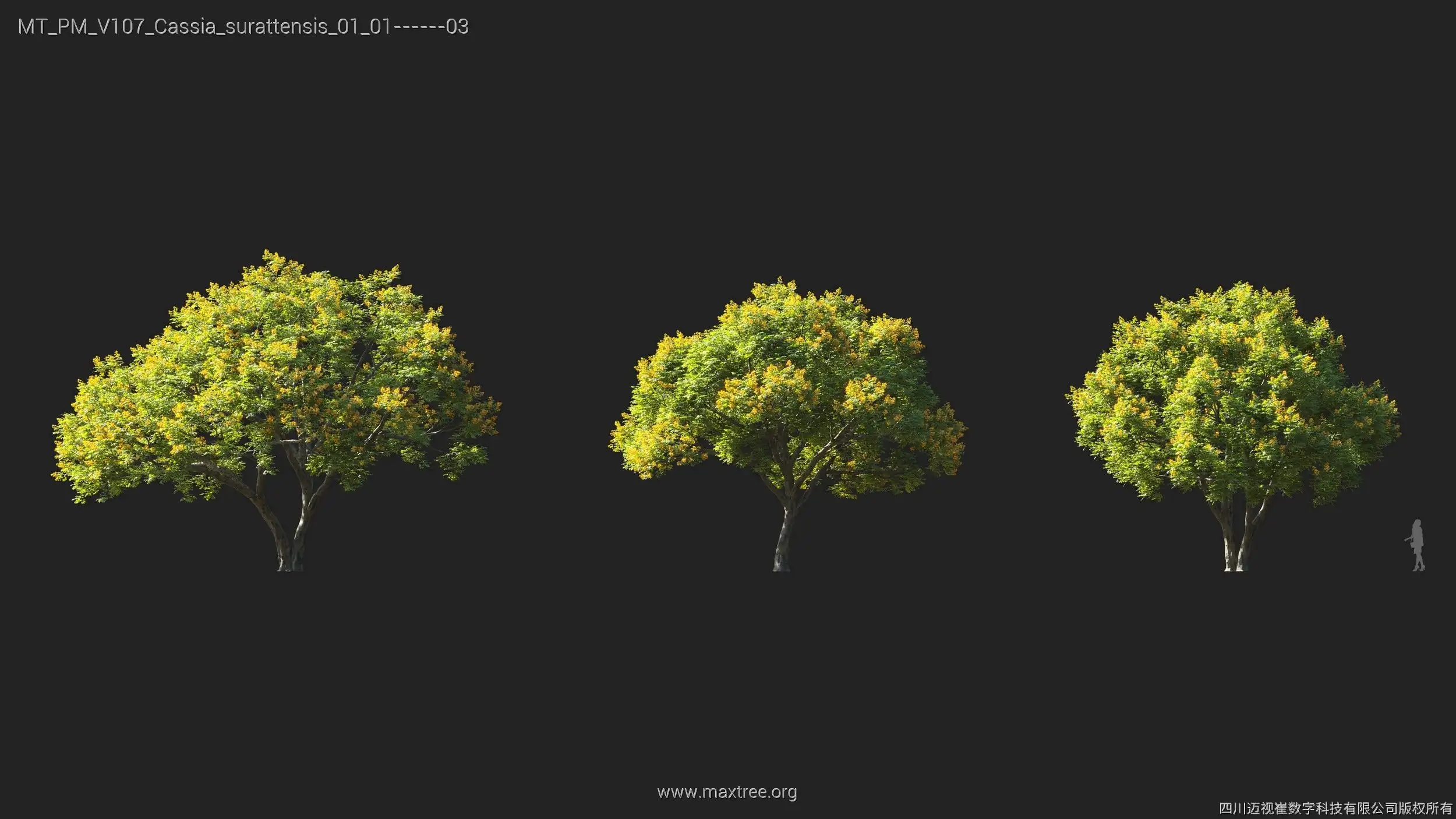 دانلود 72 مدل سه بعدی درخت - 4