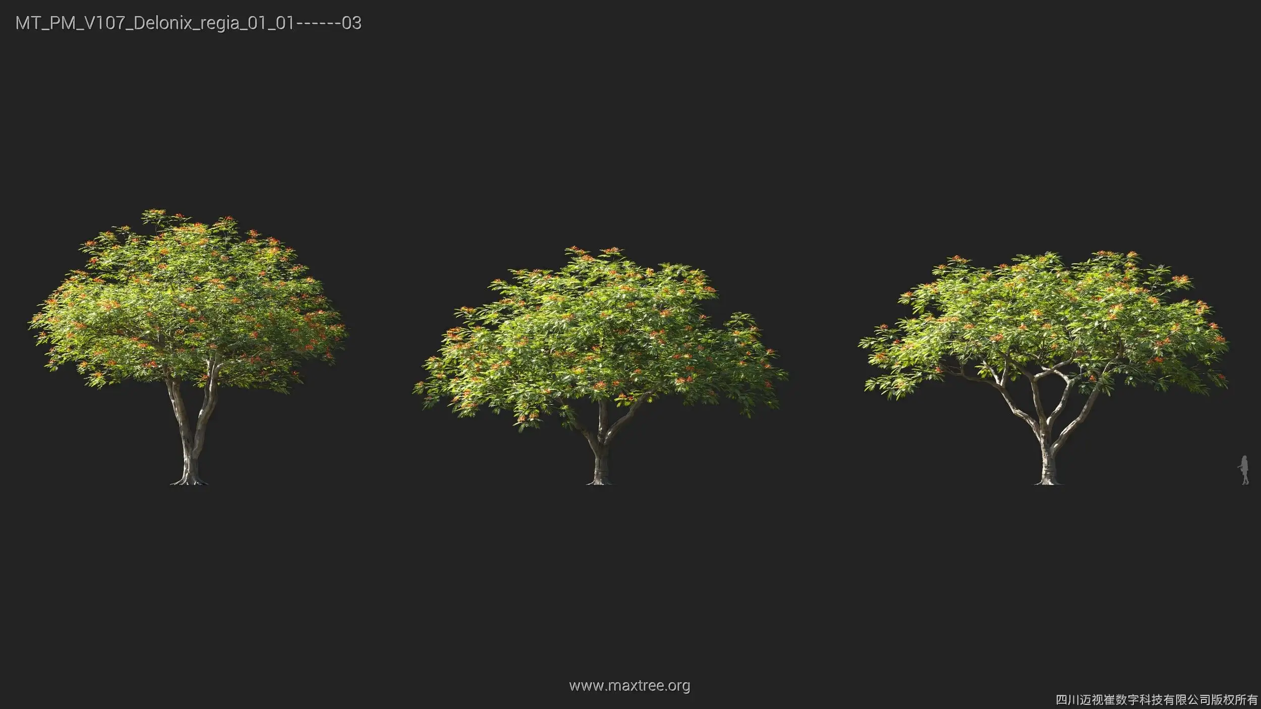 دانلود 72 مدل سه بعدی درخت - 10