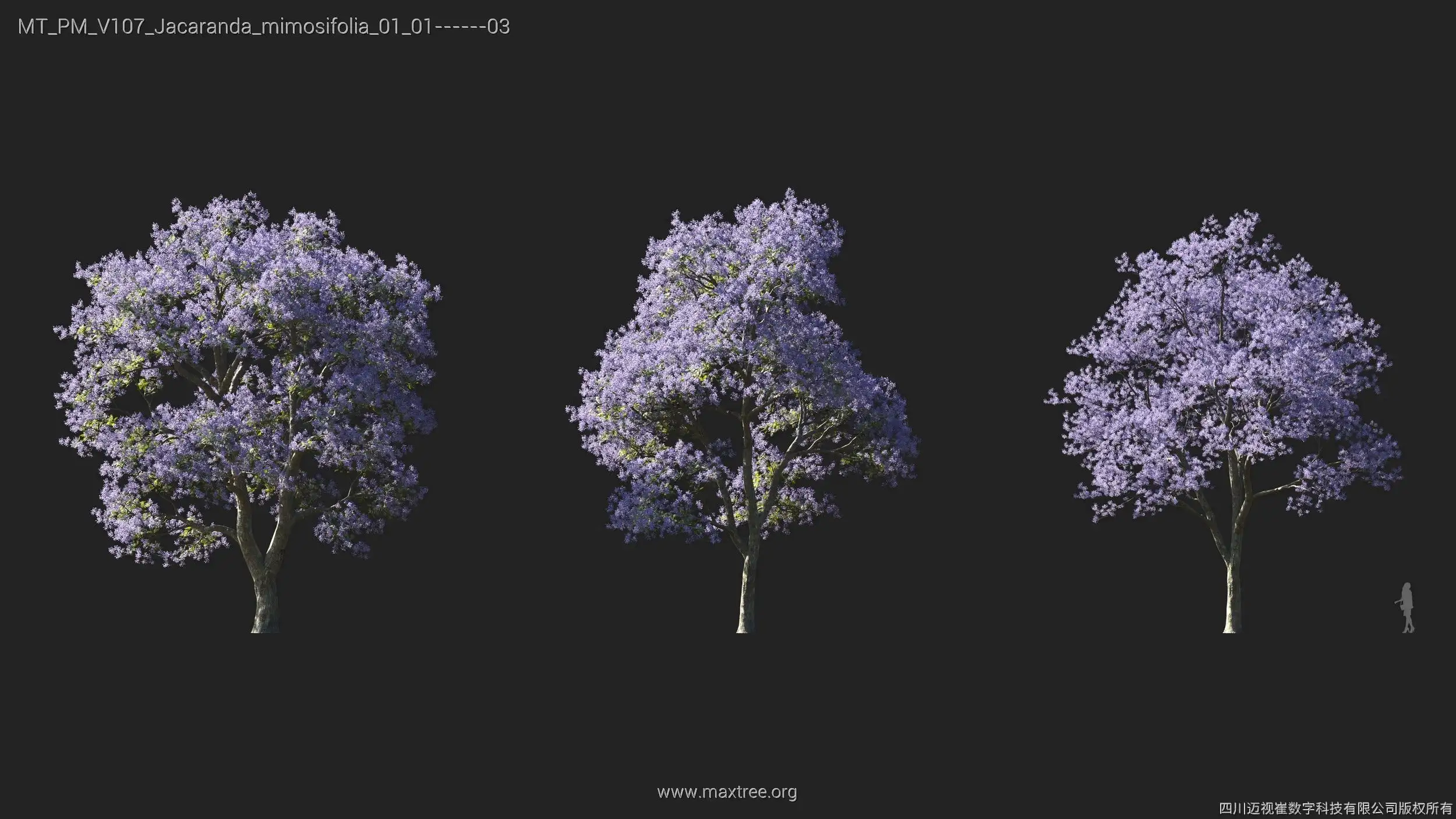 دانلود 72 مدل سه بعدی درخت - 14