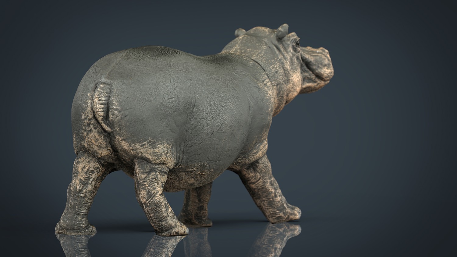 مدل سه بعدی حیوانات آفریقایی - 2
