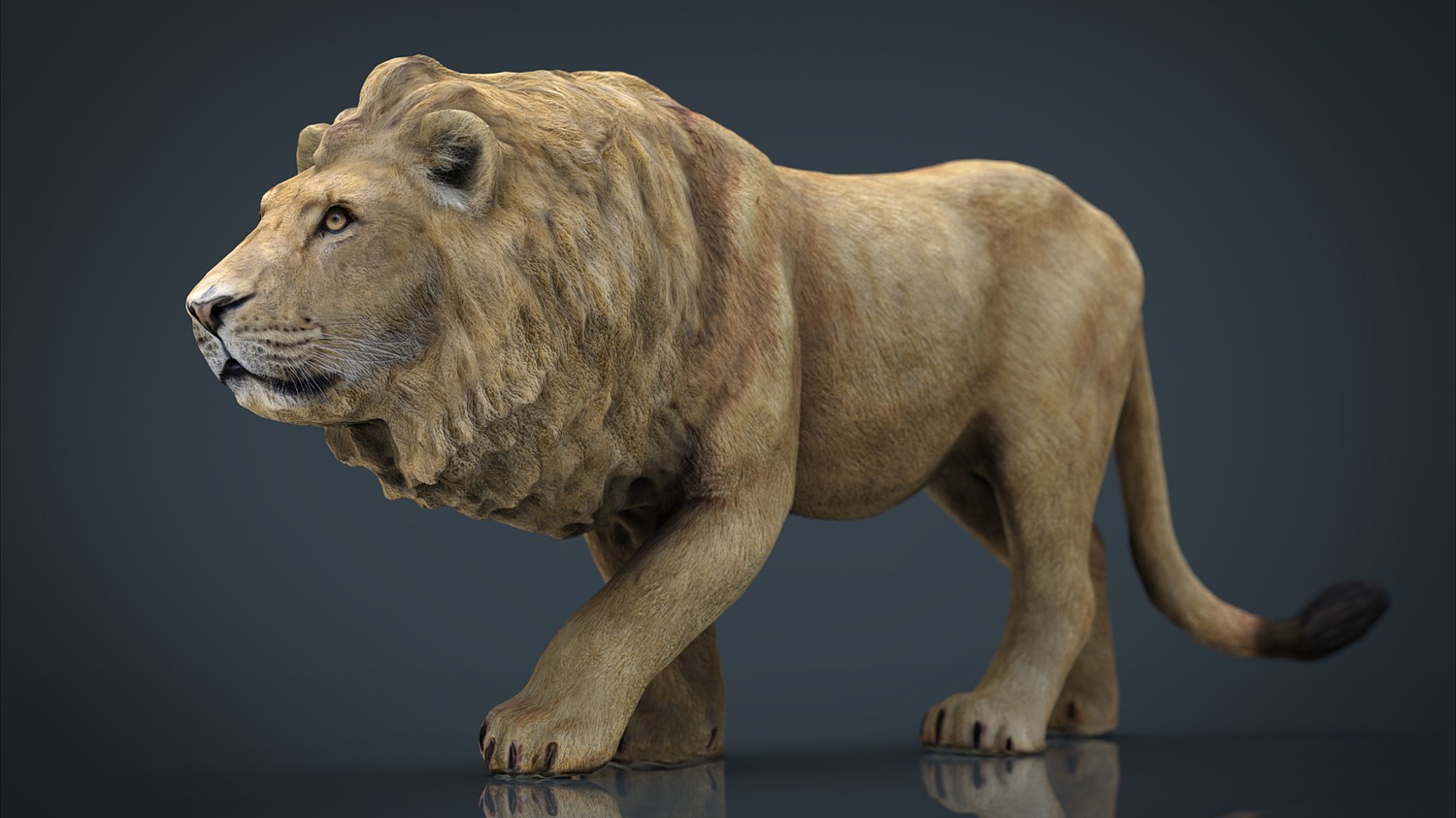 مدل سه بعدی حیوانات آفریقایی - 8