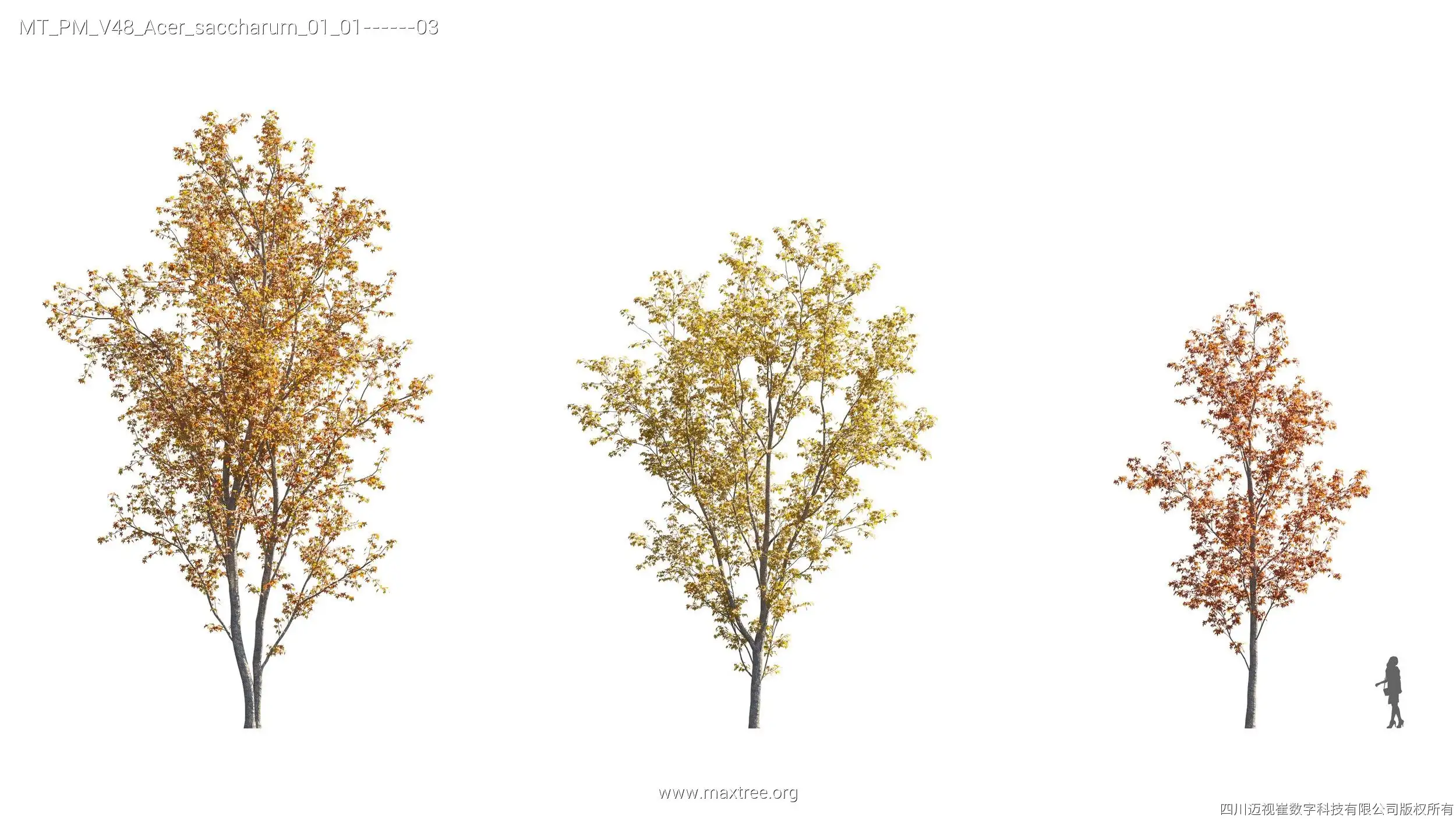 دانلود مدل سه بعدی درخت پاییزی - 4