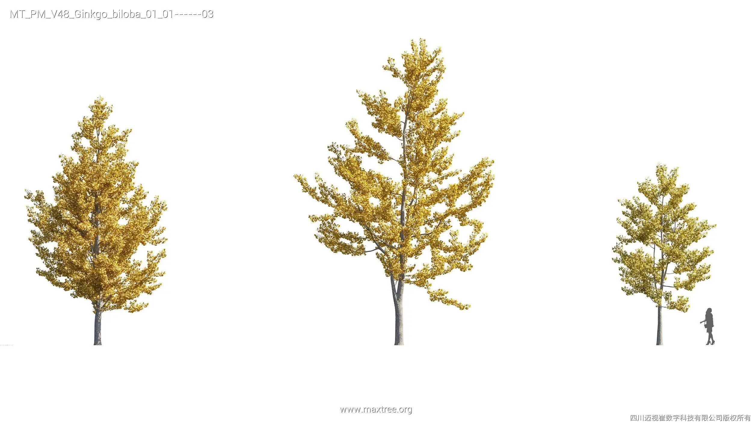 دانلود مدل سه بعدی درخت پاییزی - 12