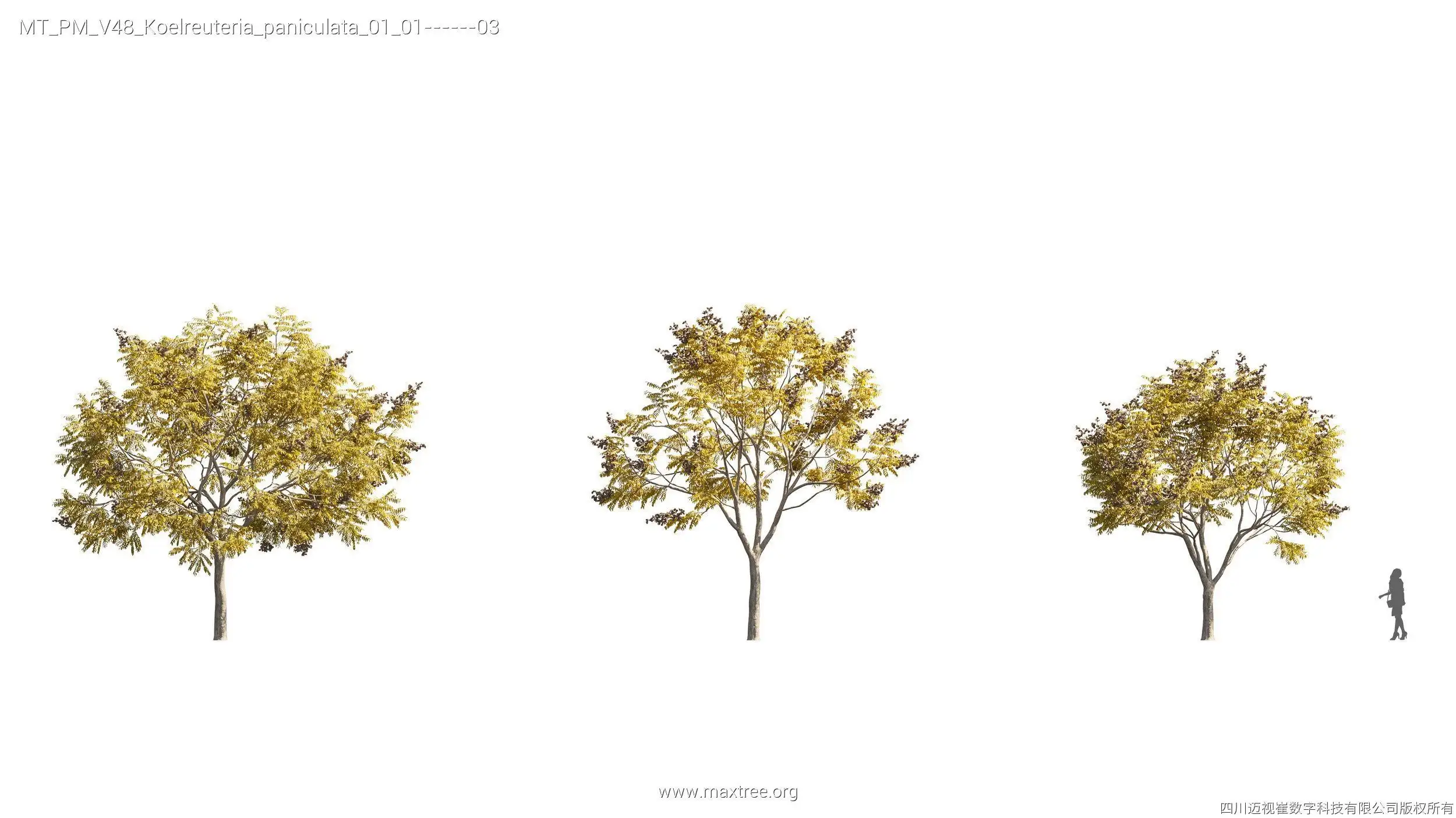 دانلود مدل سه بعدی درخت پاییزی - 14