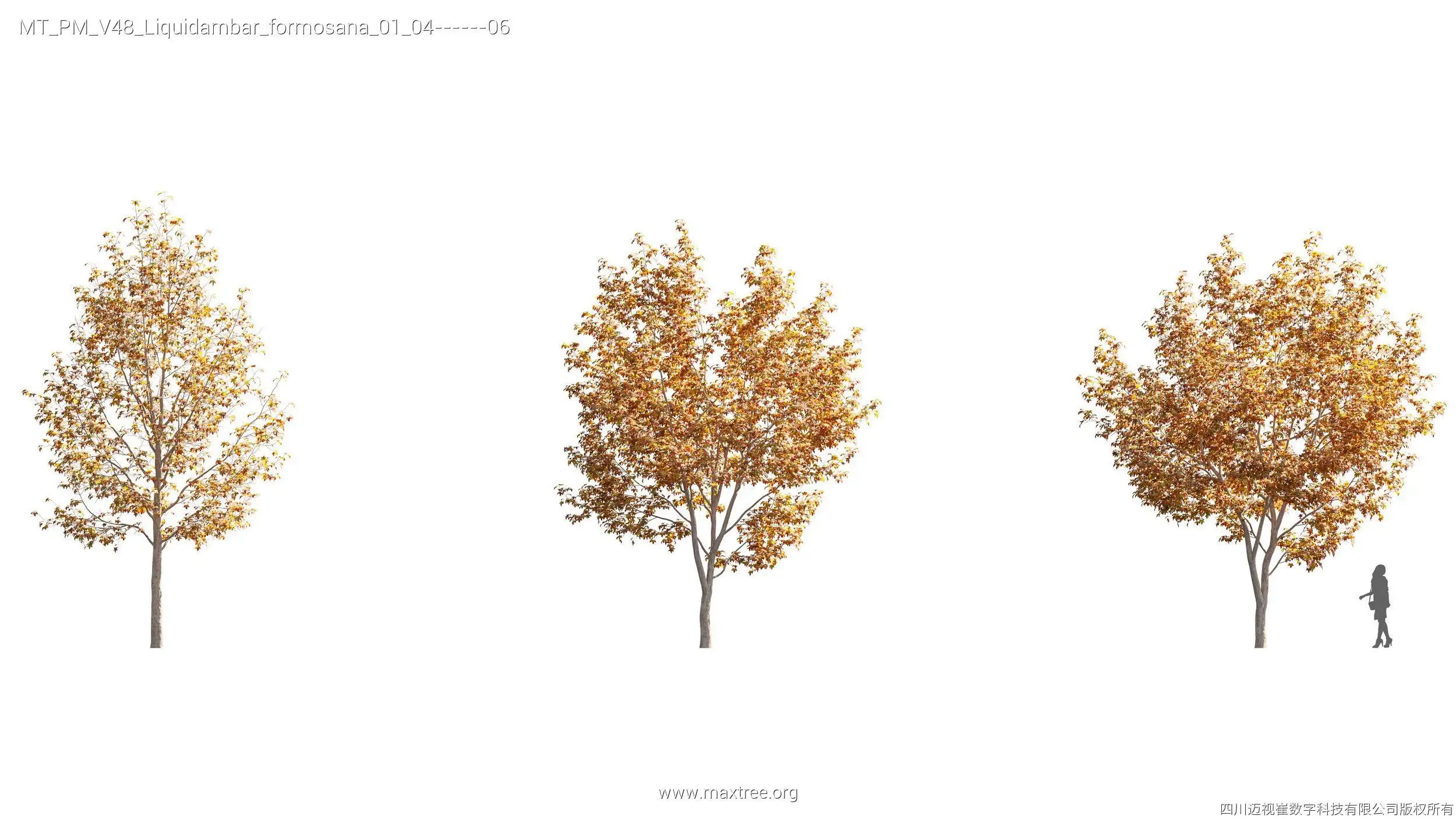 دانلود مدل سه بعدی درخت پاییزی - 18