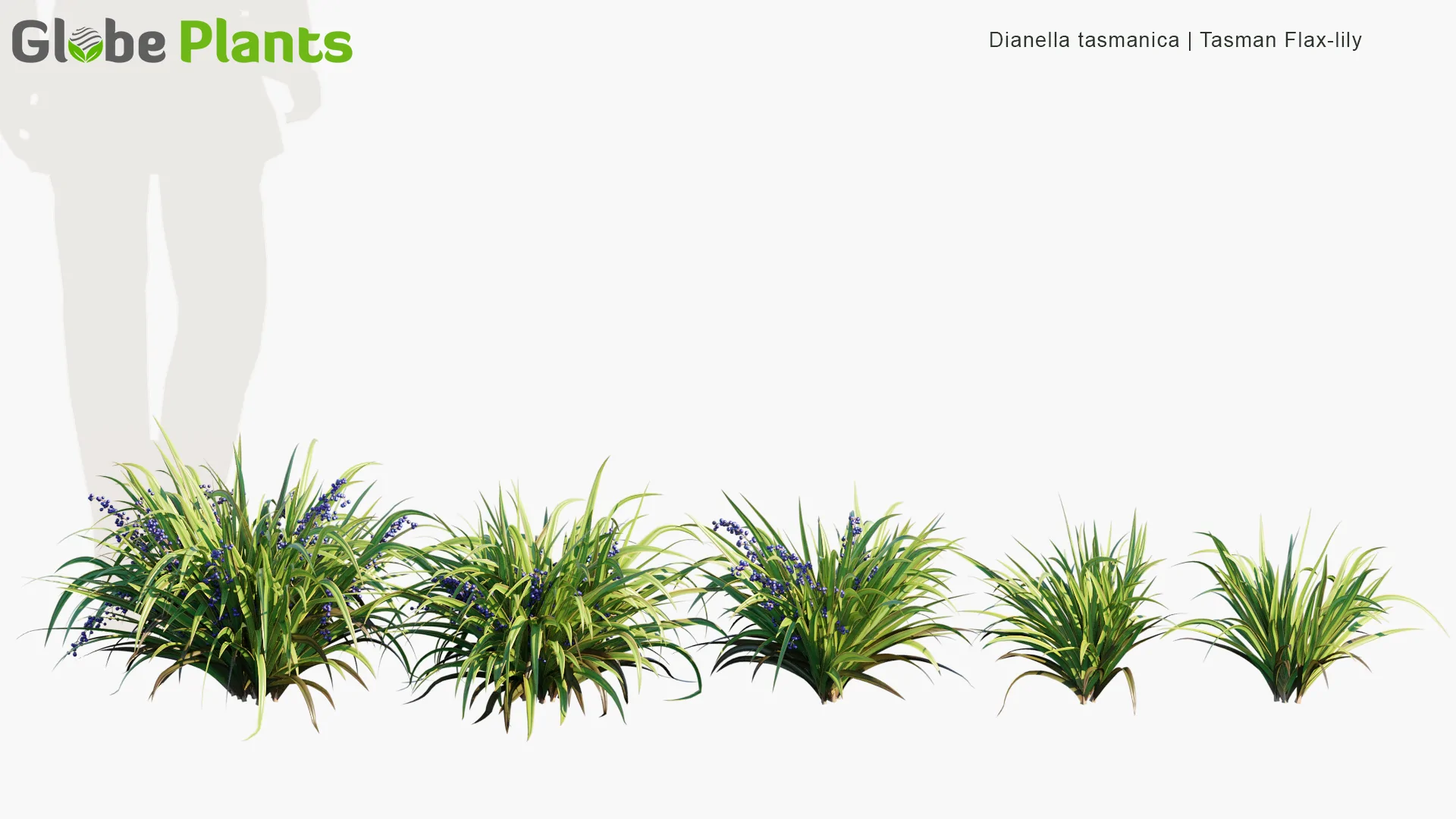 مدل سه بعدی گیاهان باغ خانه برزیلی - 8
