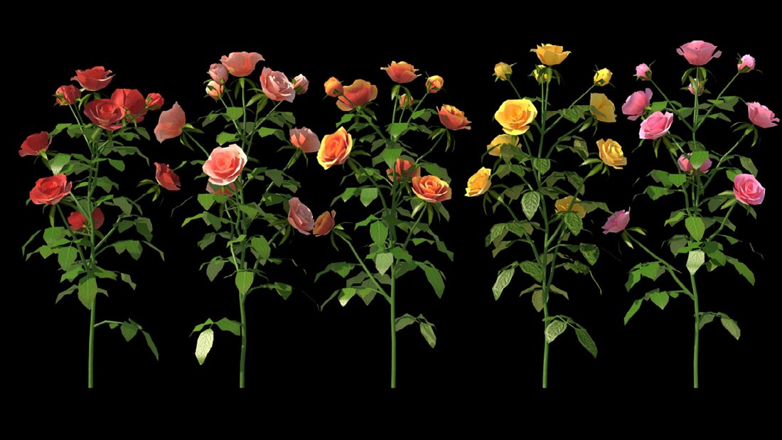 آبجکت گل و گلدان - 8