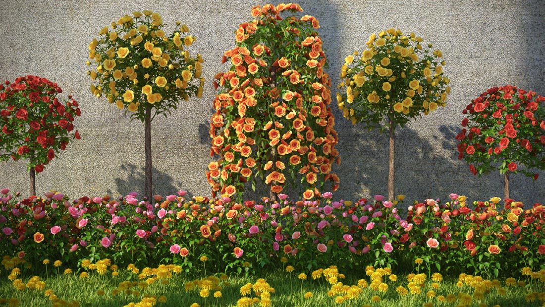 آبجکت گل و گلدان - 12