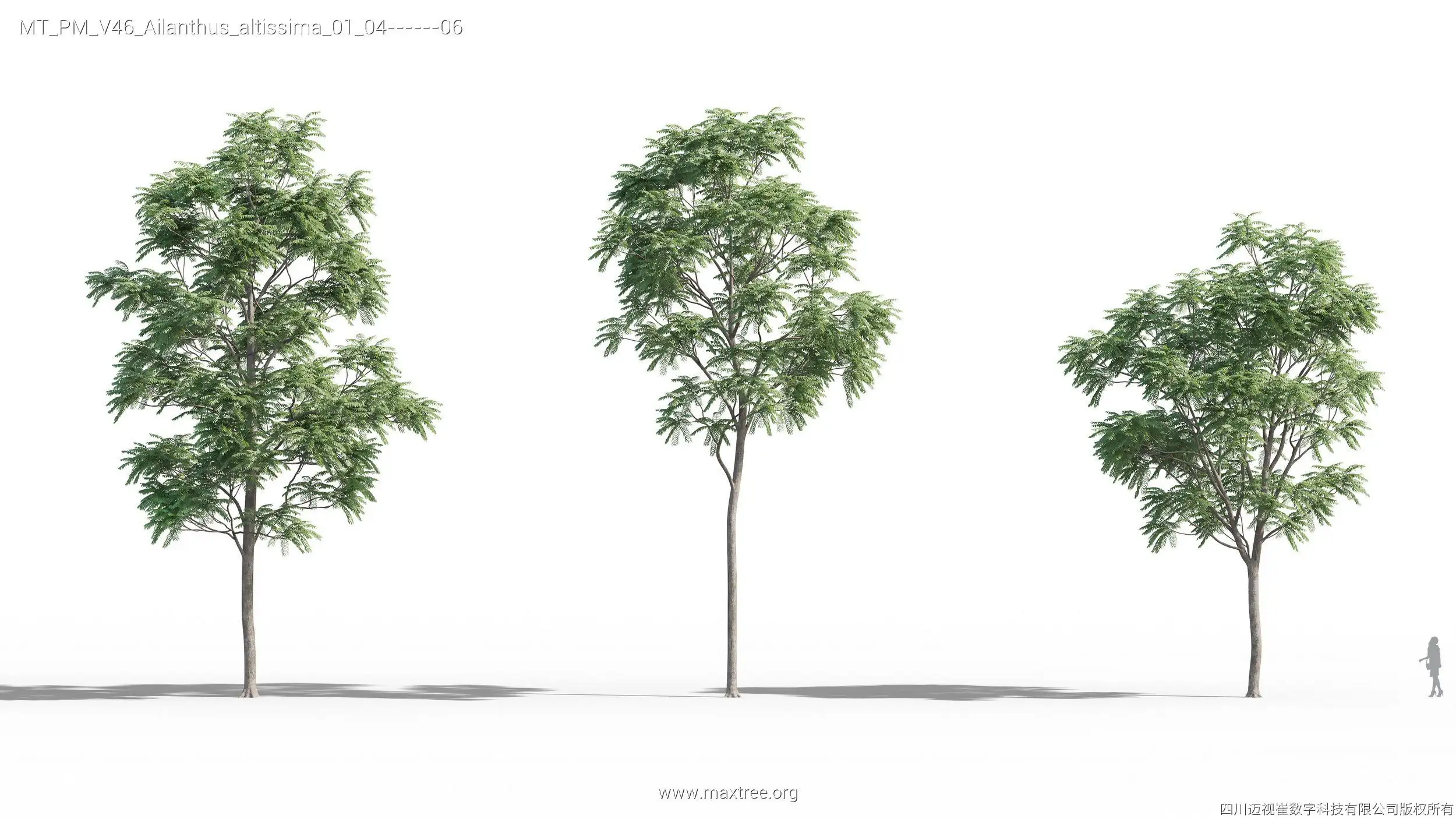 آبجکت درخت 10 - 4