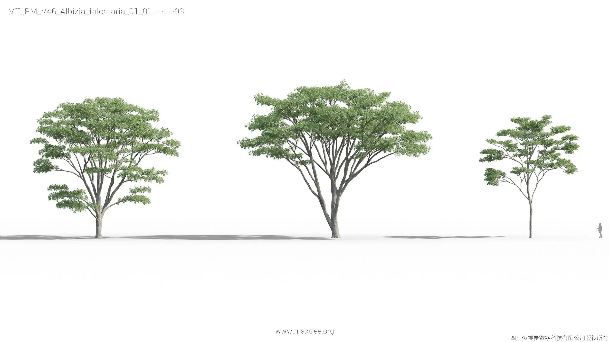 آبجکت درخت 10 - 6