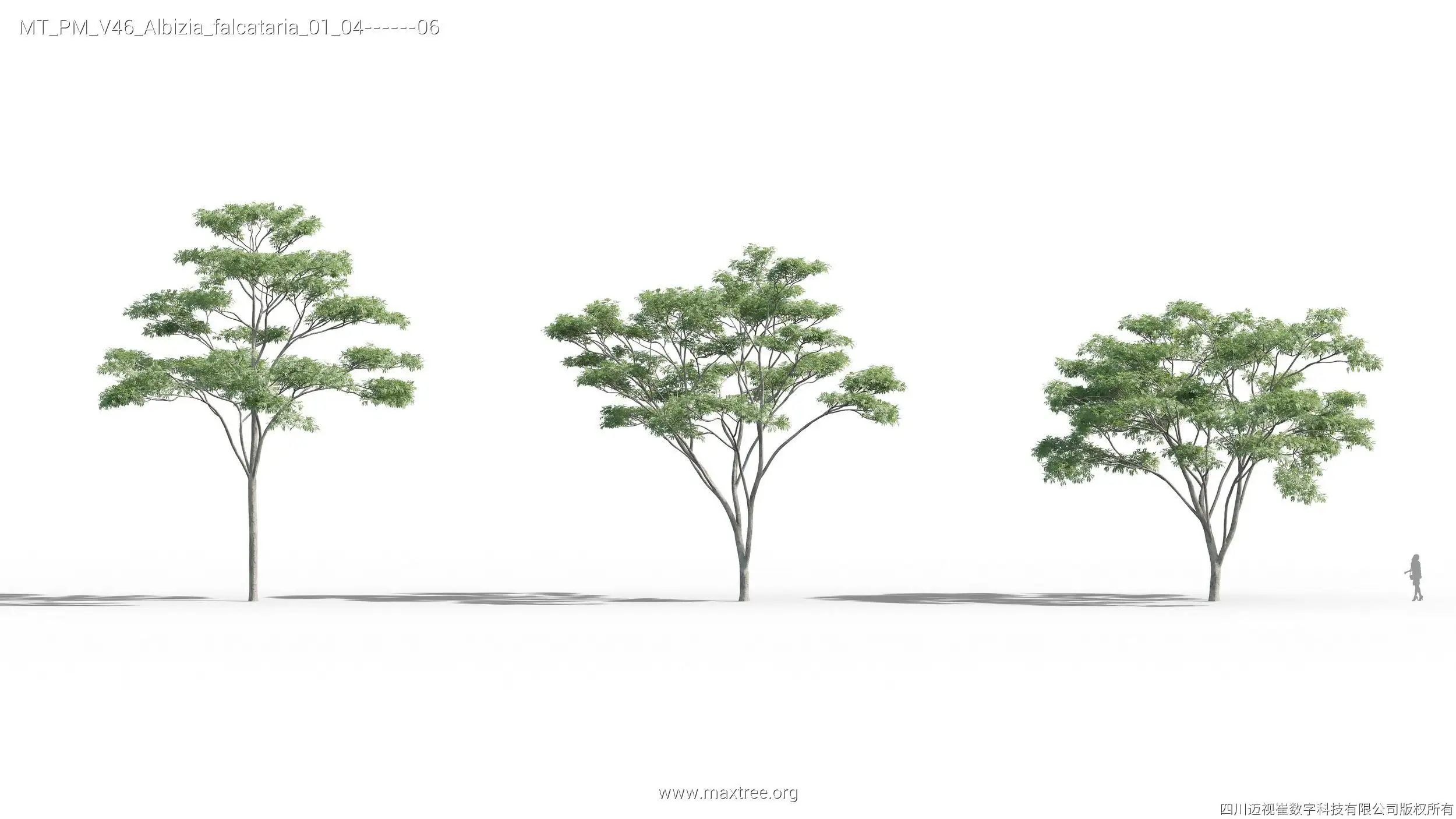 آبجکت درخت 10 - 8