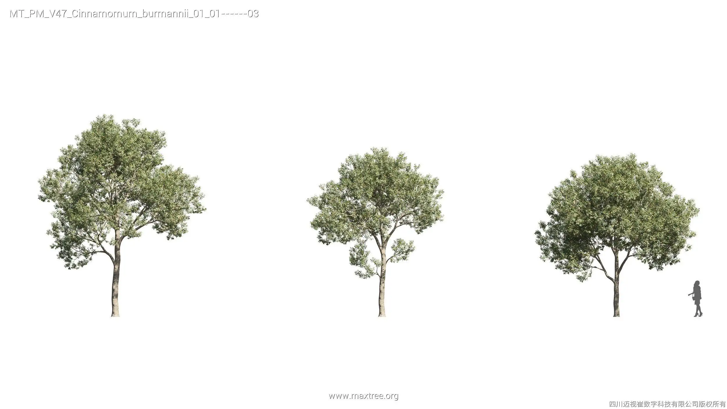 آبجکت درخت 11 - 18