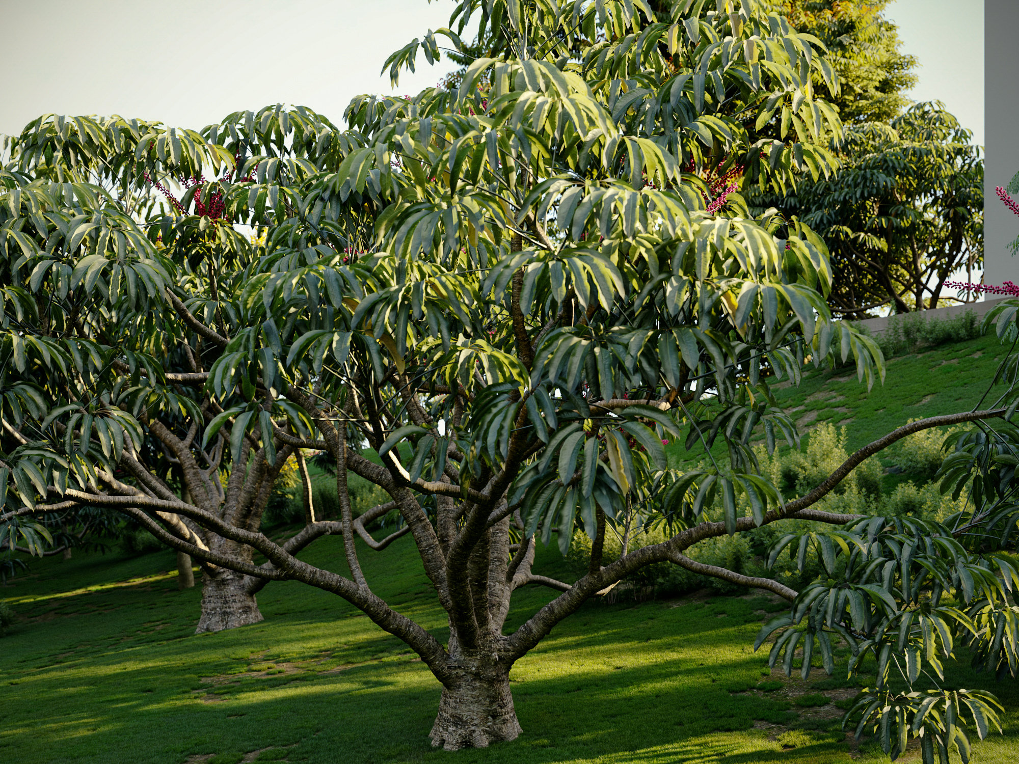 آبجکت درخت 8 - 4