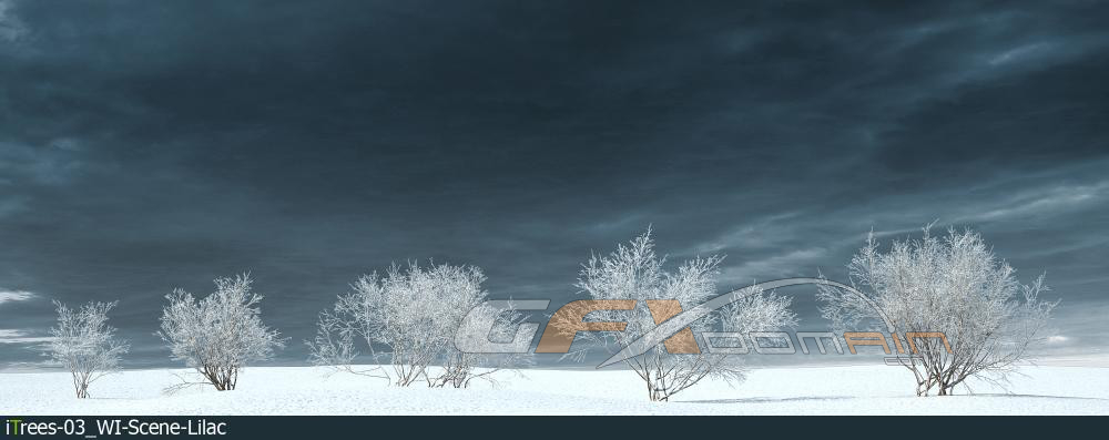 مدل سه بعدی درخت زمستانی - 4