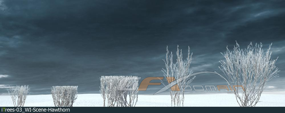 مدل سه بعدی درخت زمستانی - 6