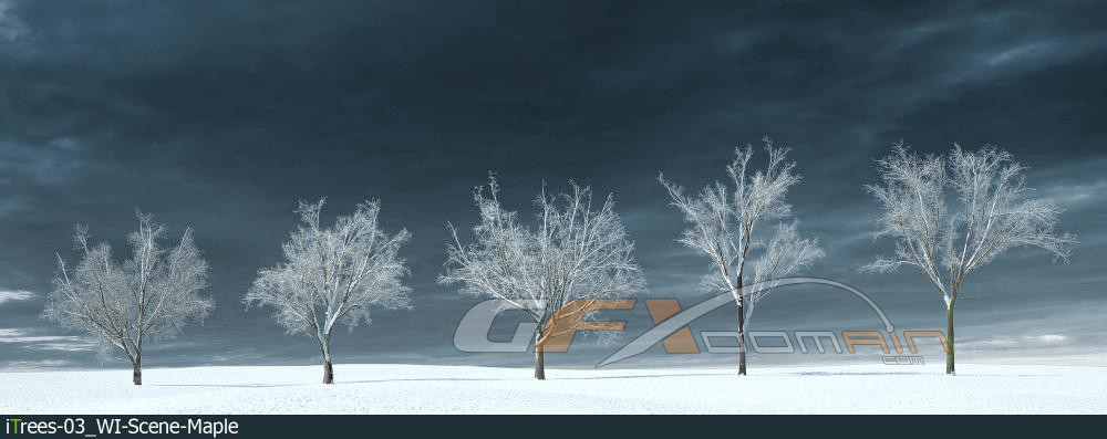 مدل سه بعدی درخت زمستانی - 8