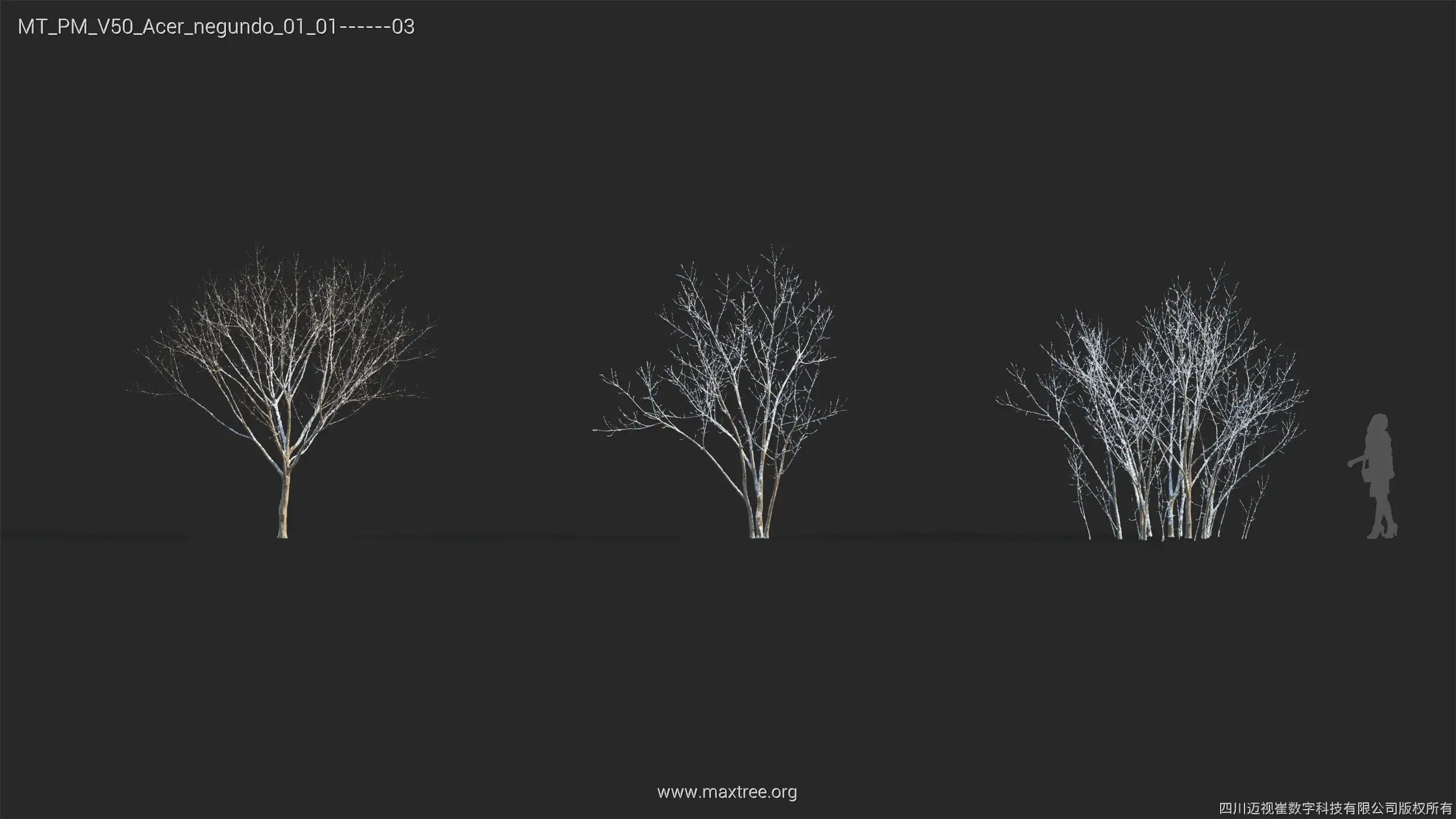 آبجکت درخت زمستانی - 2