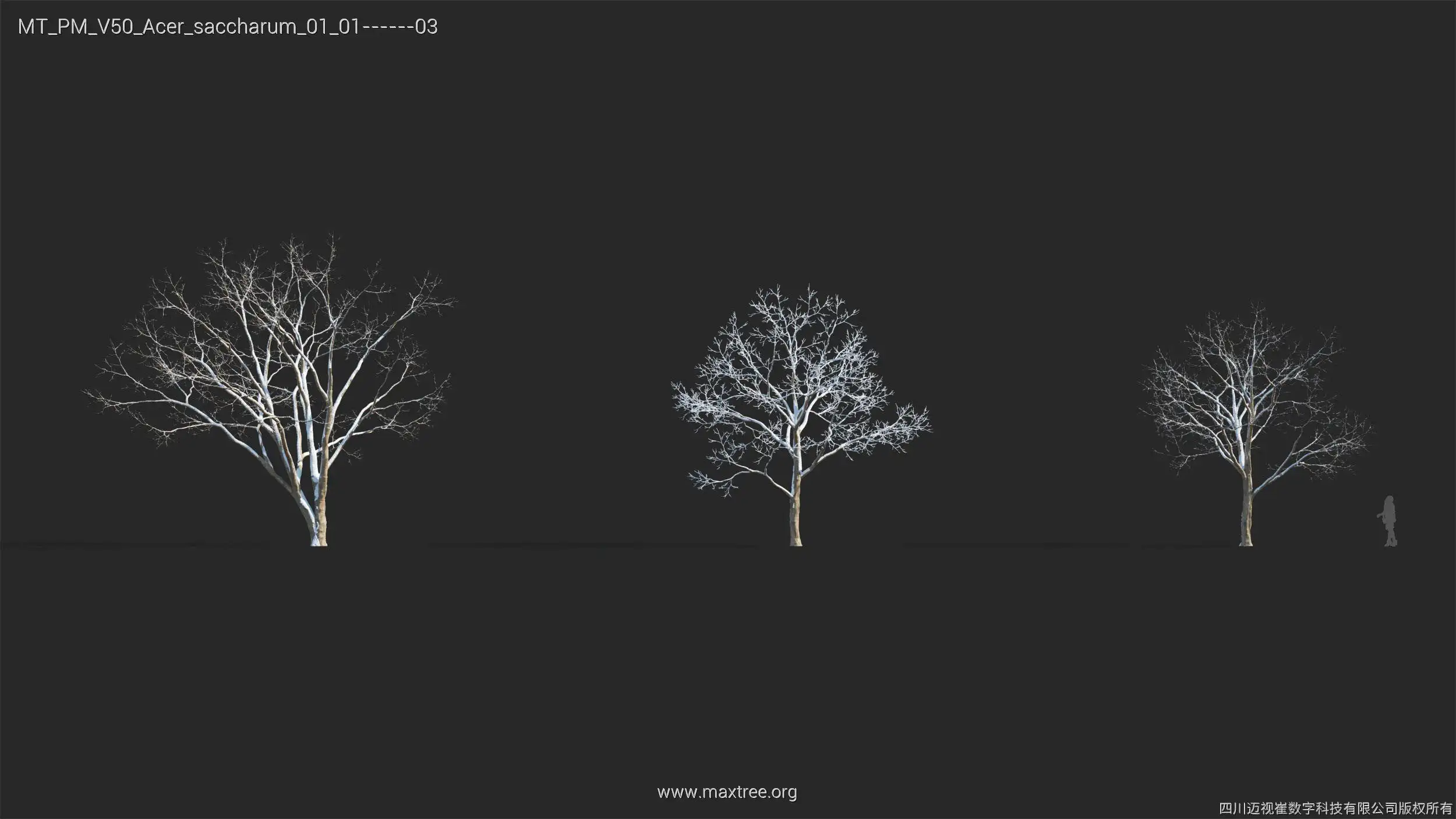 آبجکت درخت زمستانی - 4