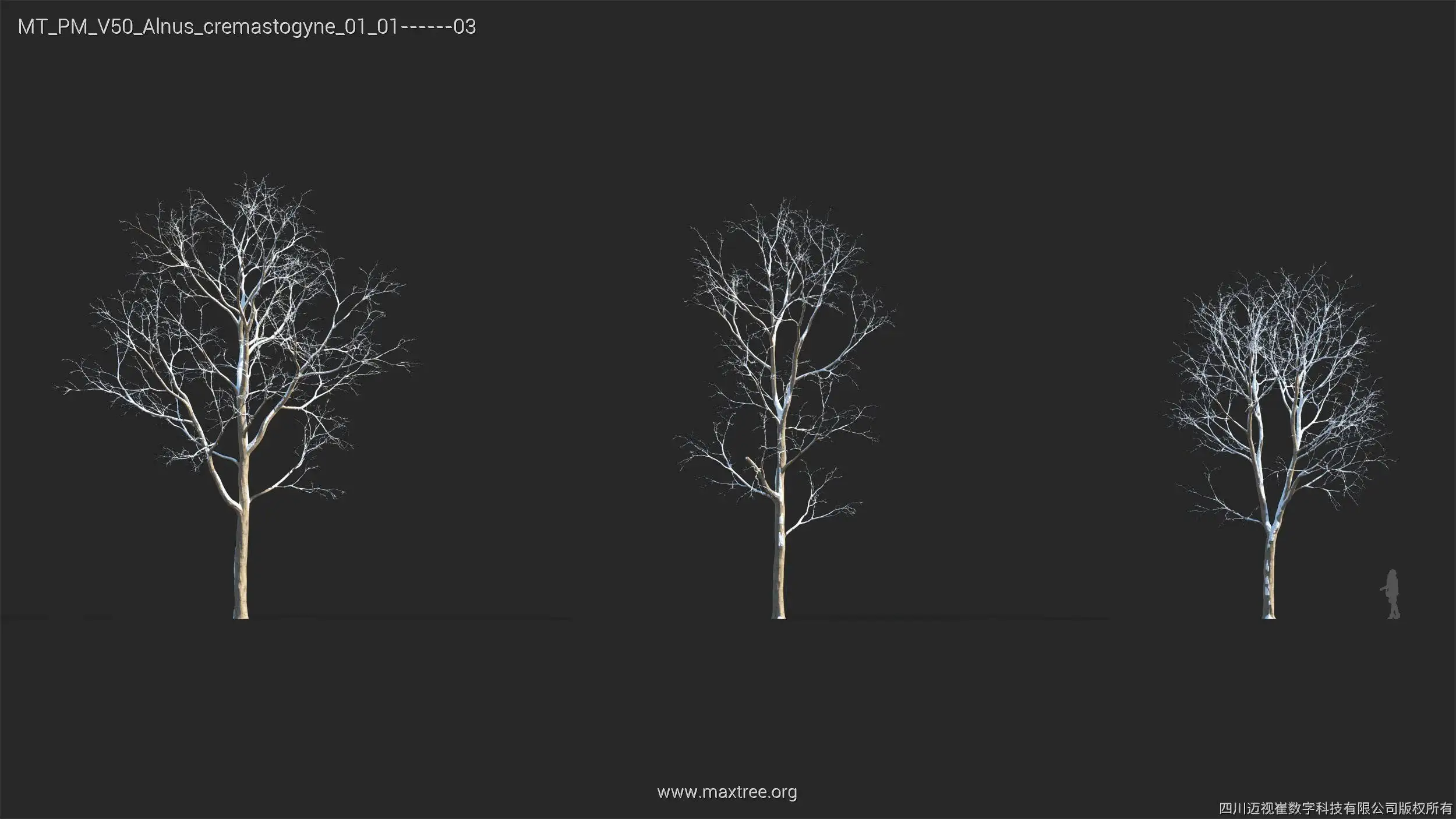 آبجکت درخت زمستانی - 6