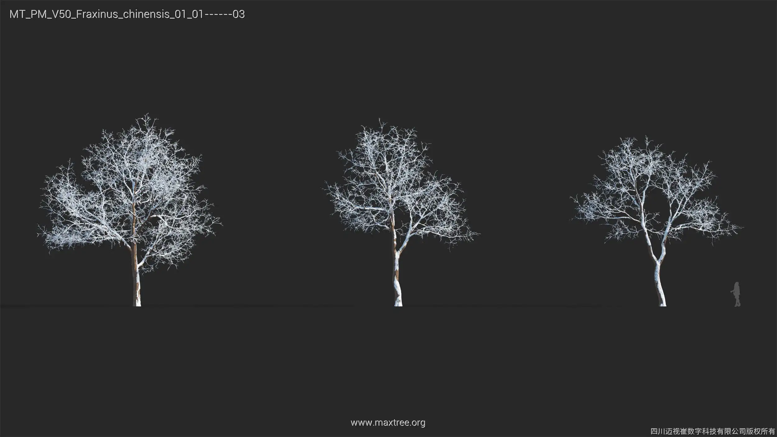 آبجکت درخت زمستانی - 14