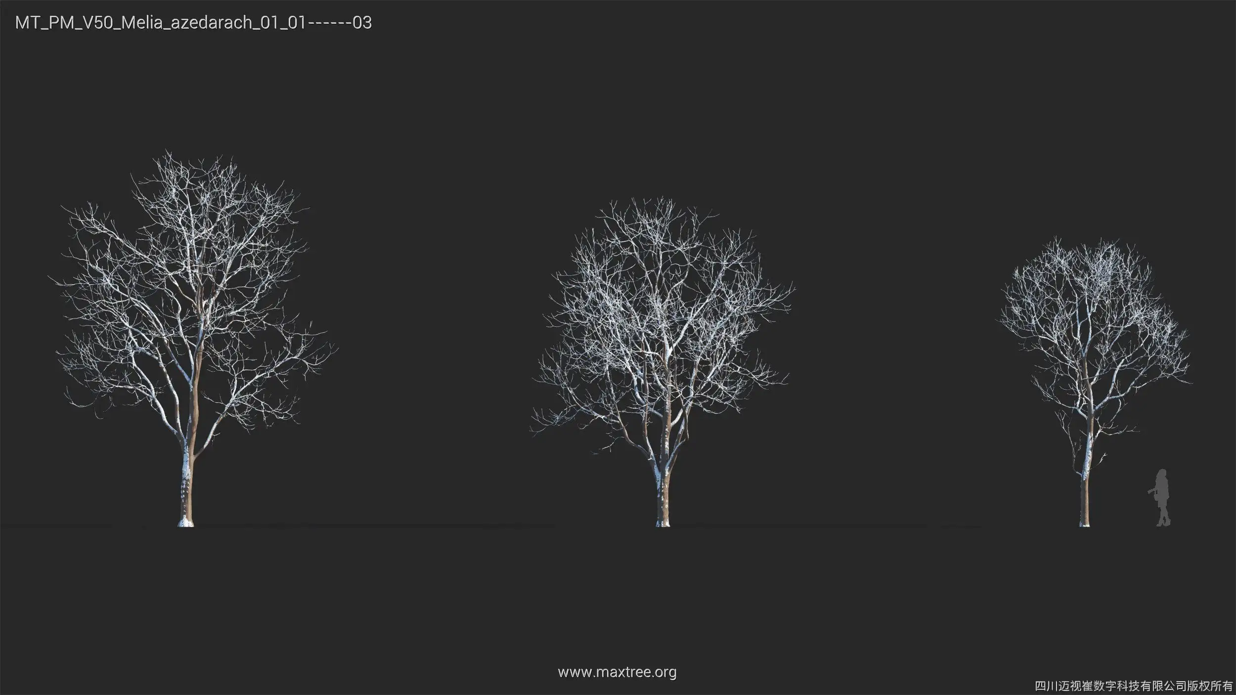 آبجکت درخت زمستانی - 16