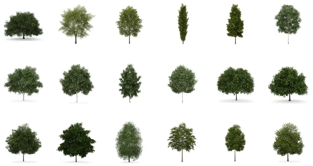 دانلود 30 مدل سه بعدی درخت - 2
