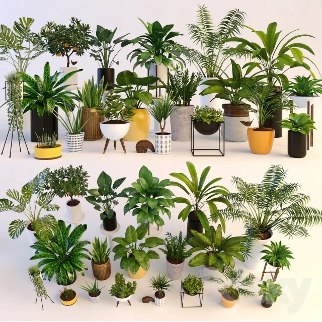 مدل سه بعدی گیاهان آپارتمانی 30 - 2