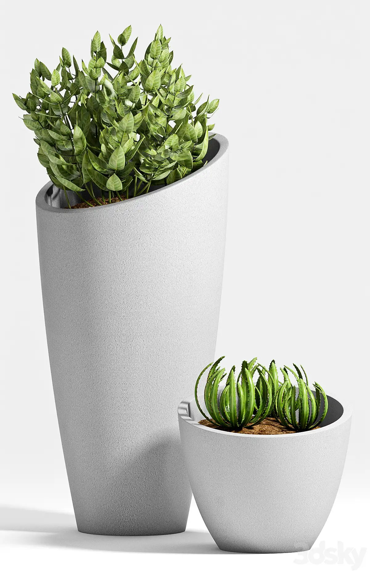 مدل سه بعدی گیاهان آپارتمانی 34 - 4