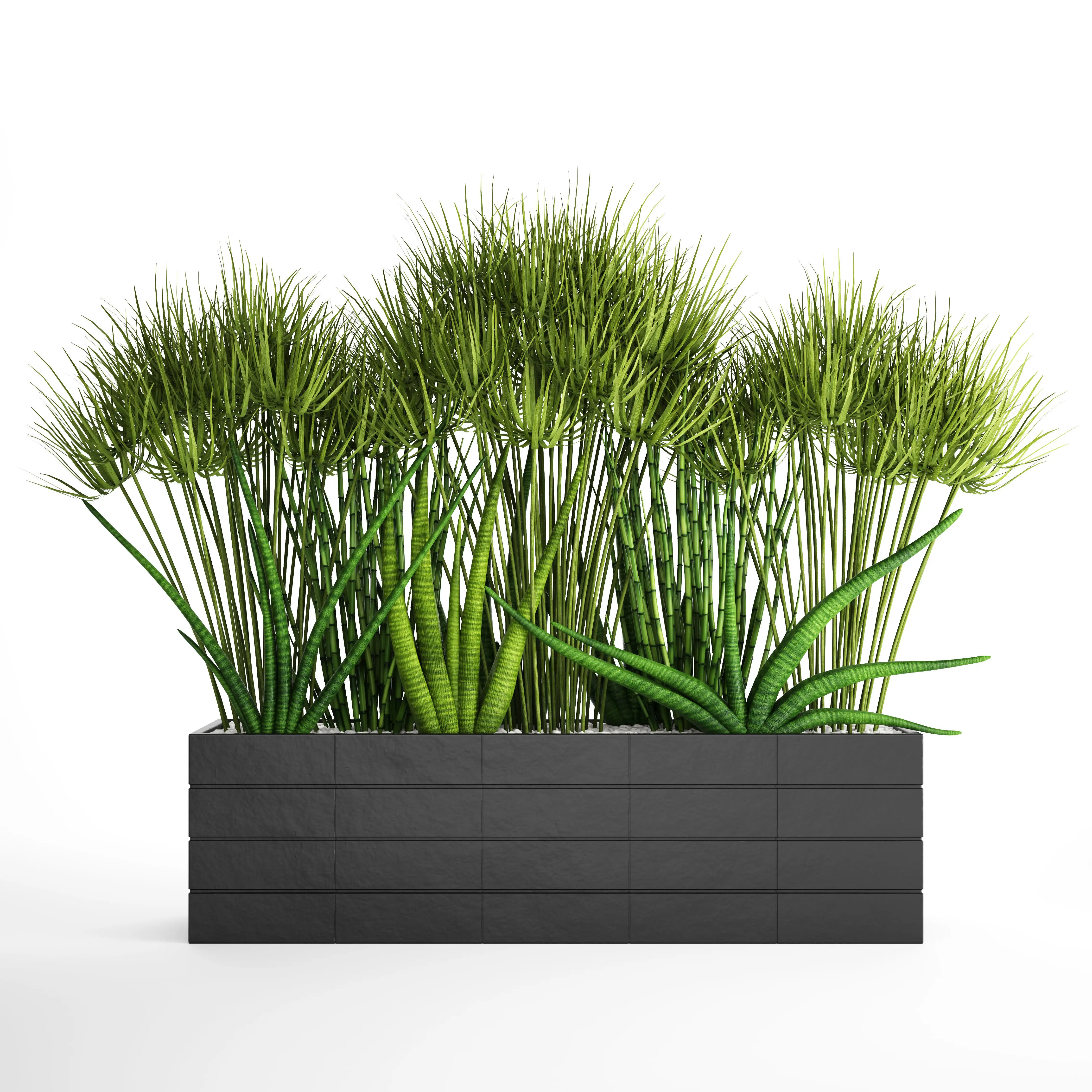 دانلود مدل سه بعدی گیاهان آپارتمانی 40 - 6