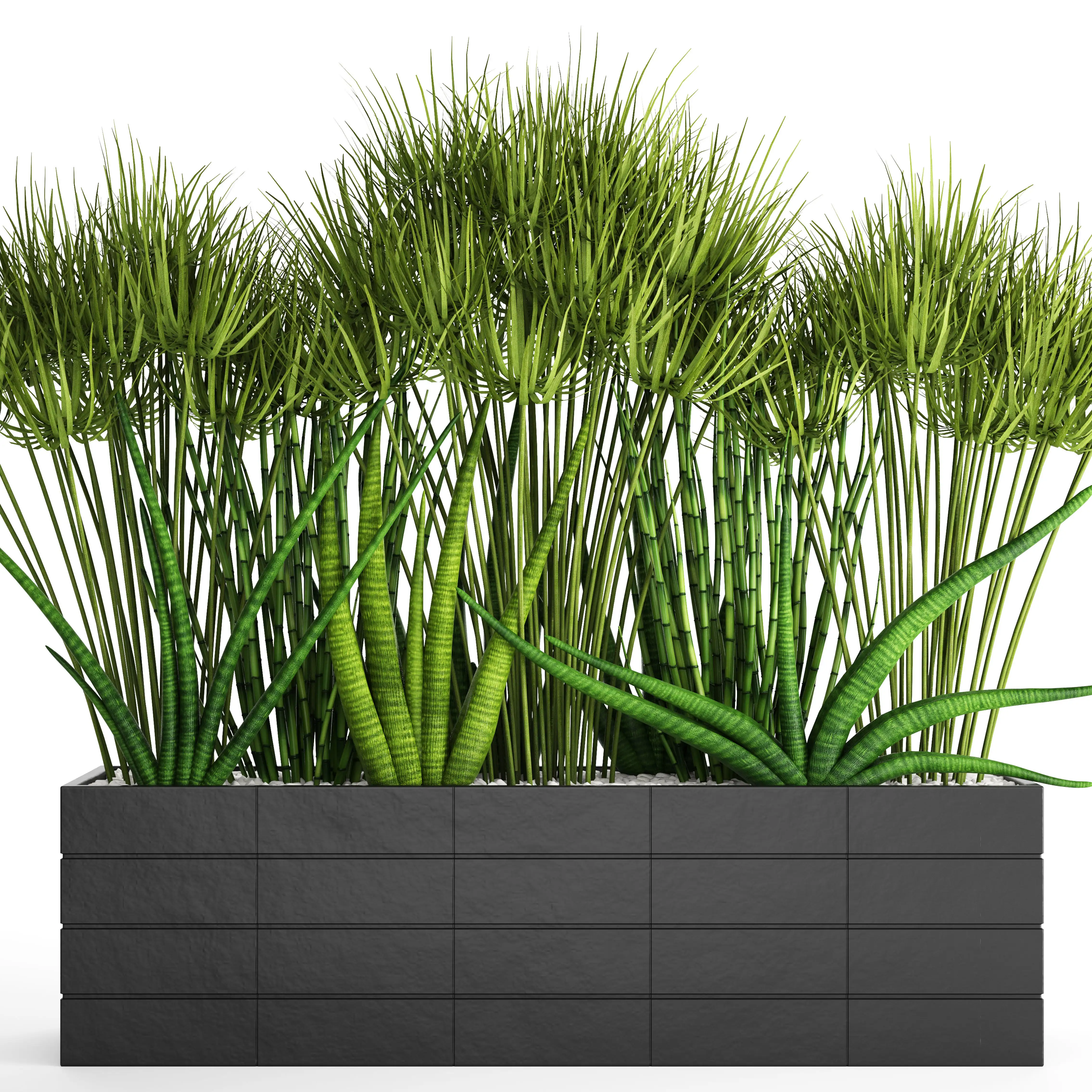 دانلود مدل سه بعدی گیاهان آپارتمانی 40 - 4