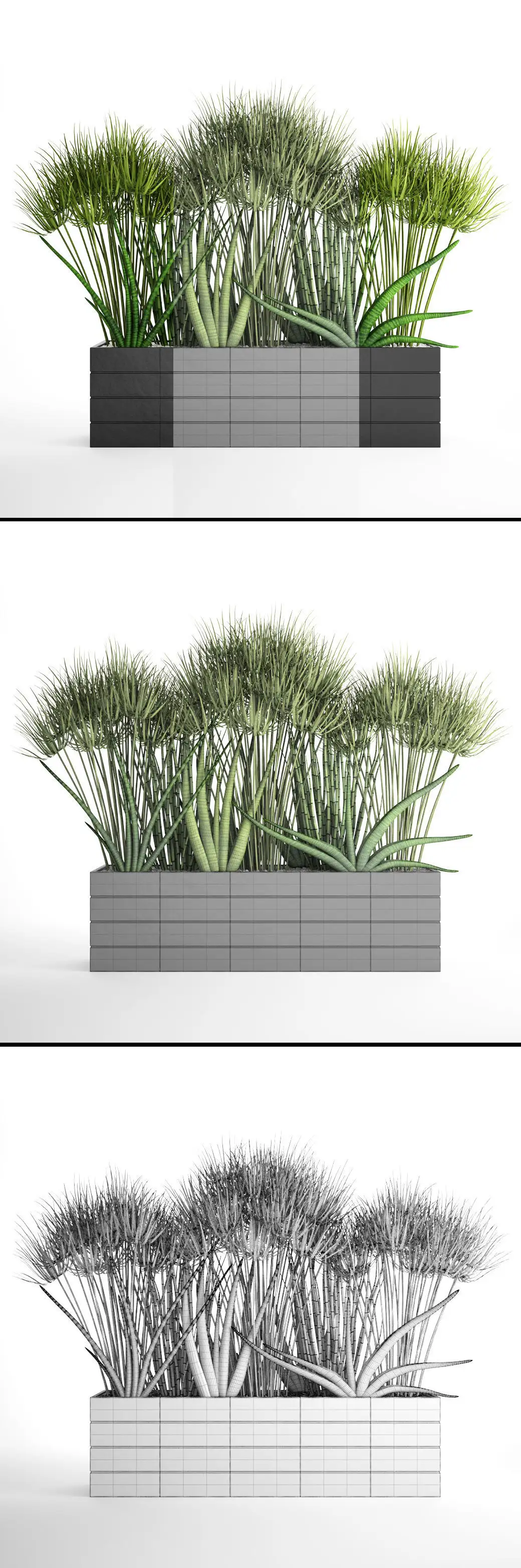 دانلود مدل سه بعدی گیاهان آپارتمانی 40 - 22