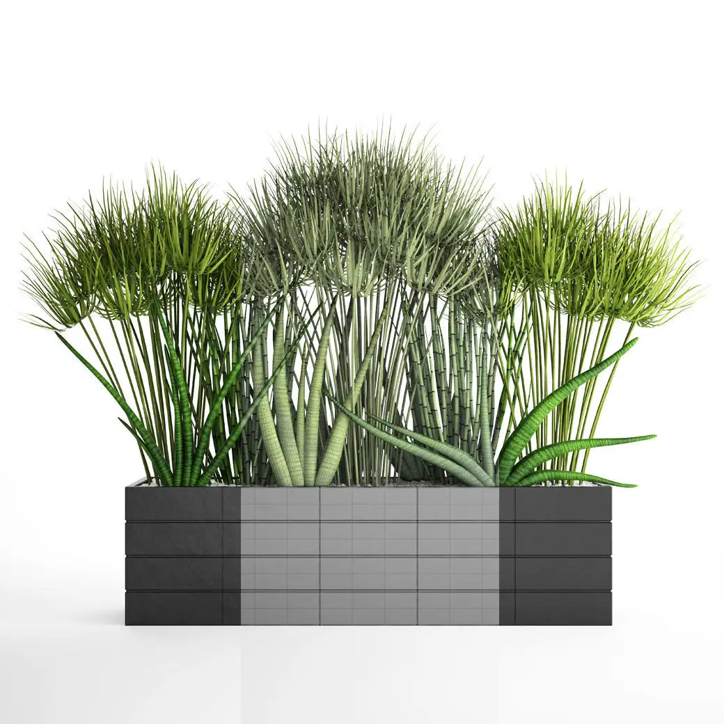 دانلود مدل سه بعدی گیاهان آپارتمانی 40 - 10
