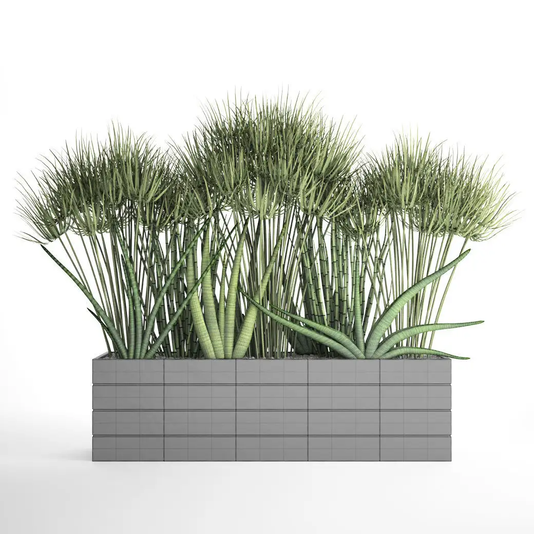 دانلود مدل سه بعدی گیاهان آپارتمانی 40 - 12