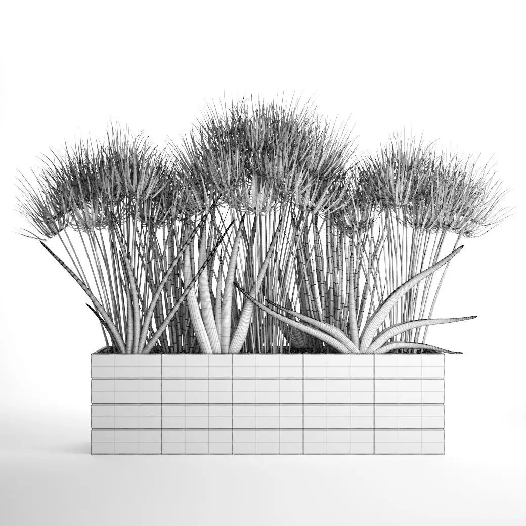 دانلود مدل سه بعدی گیاهان آپارتمانی 40 - 14
