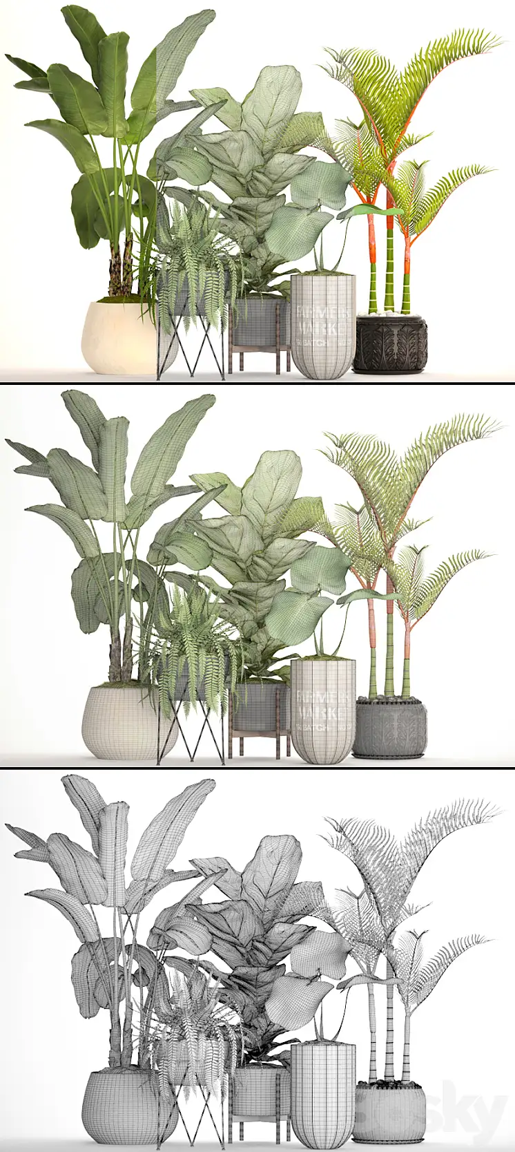 مدل سه بعدی گیاهان آپارتمانی 46 - 6