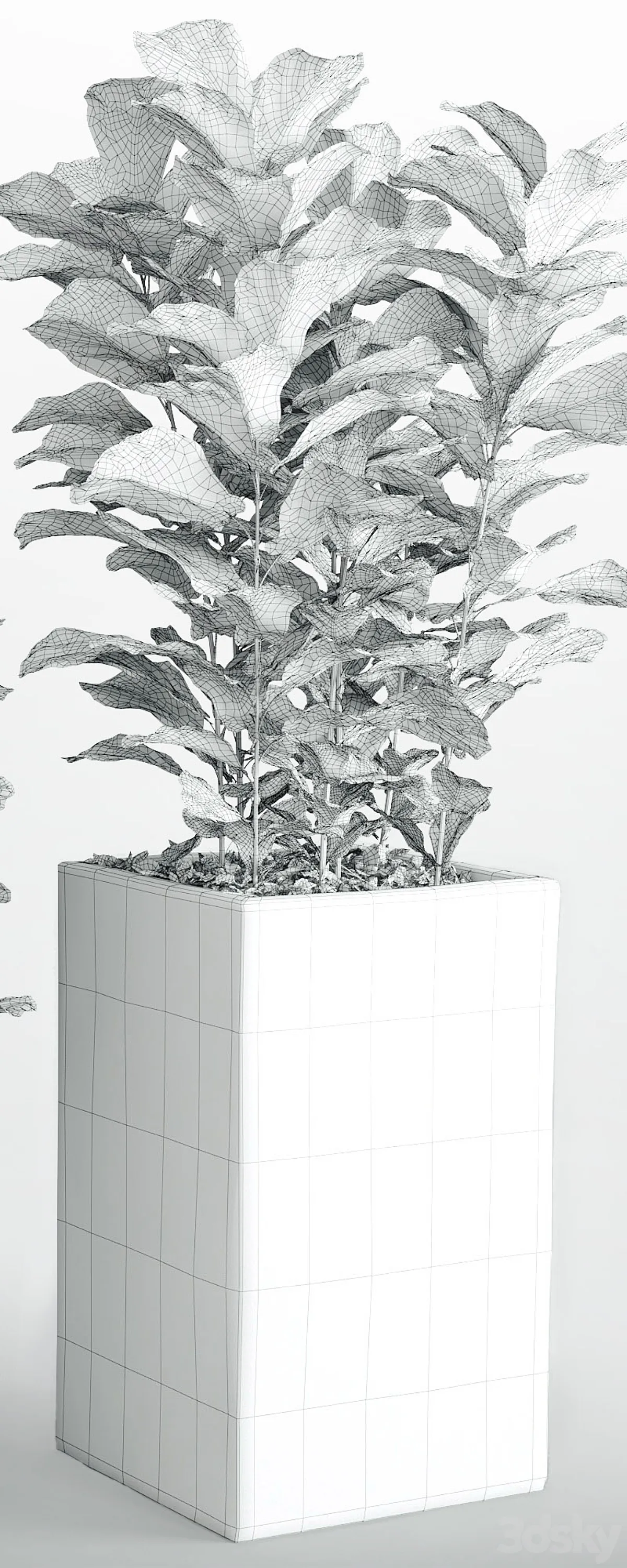 مدل سه بعدی گیاهان آپارتمانی 6 - 6