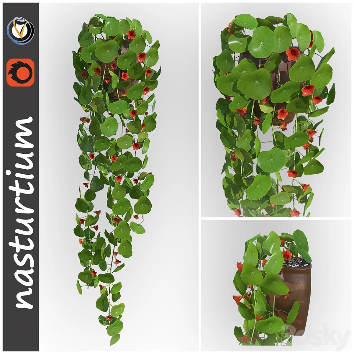 مدل سه بعدی گیاهان گلدانی 10 - 2