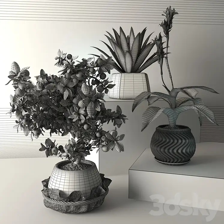 دانلود مدل سه بعدی گیاهان گلدانی 32 - 4