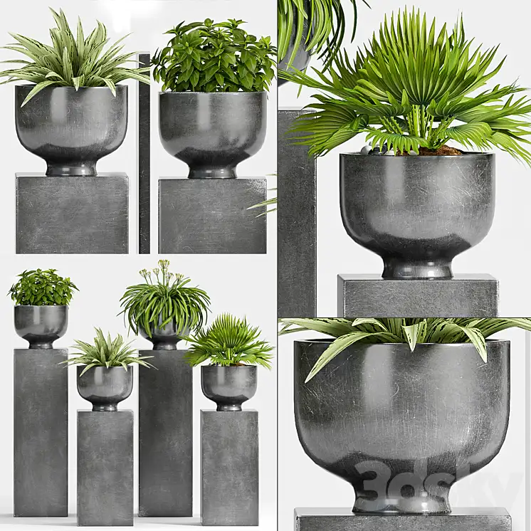 مدل سه بعدی گیاهان گلدانی 38 - 2